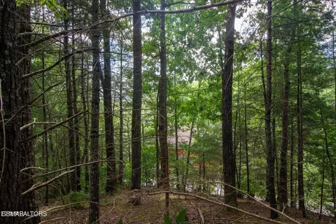 13 High Top Loop, Sevierville, TN 37862 photo 3