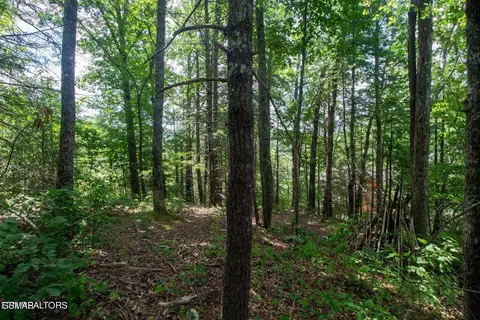 13 High Top Loop, Sevierville, TN 37862 photo 5