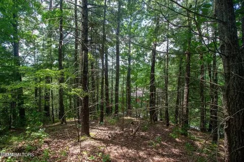13 High Top Loop, Sevierville, TN 37862 photo 4