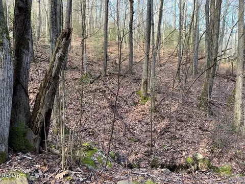 14 Black Walnut Flats Rd, Sevierville, TN 37862
