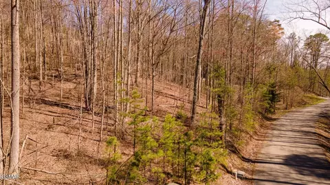 2 Lone Ridge Dr, Sevierville, TN 37862