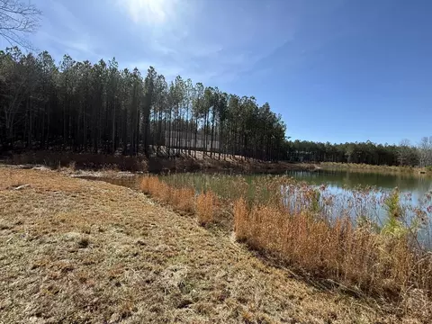 0 Cherokee Path, Jasper, TN 37347 photo 17