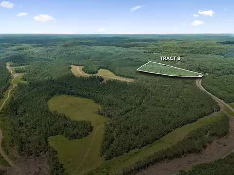1420 Big Swan Creek Rd Tract 8, Summertown, TN 38483