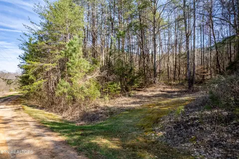 0 Welch Rd #LOT 4A, Tellico Plains, TN 37385