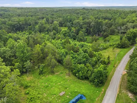View/Area - 20151 Ben Fly Rd, Lyles, TN 37098 photo 3 of 11