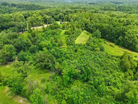 View/Area - 20151 Ben Fly Rd, Lyles, TN 37098 photo 4 of 11