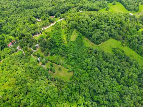View/Area - 20151 Ben Fly Rd, Lyles, TN 37098 photo 8 of 11