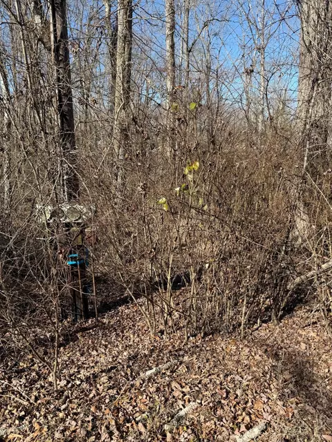 122 Hickory Hollow Rd, Crossville, TN 38572
