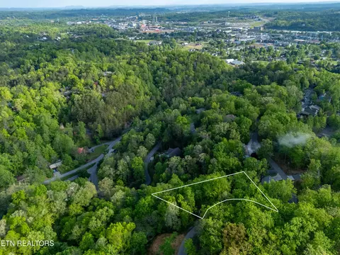 0 0 Monte Wood Cir, Pigeon Forge, TN 37863