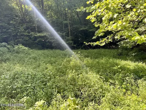 0 Jackson Ridge Rd, Tazewell, TN 37879