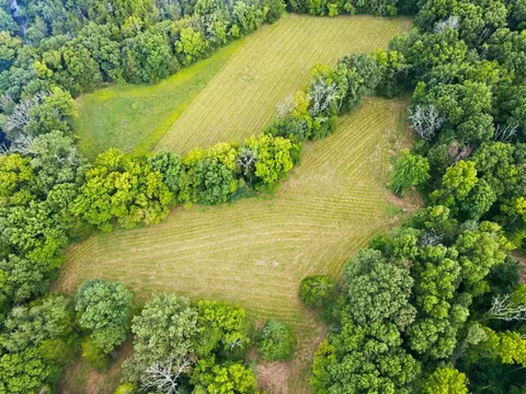 0 Webb Rd, Eagleville, TN 37060 photo 4