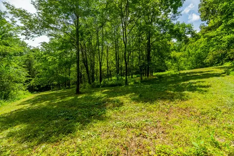0 Bethlehem Rd, Springfield, TN 37172 photo 25