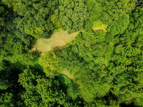 0 Bethlehem Rd, Springfield, TN 37172 photo 38