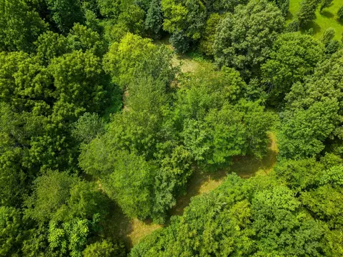 0 Bethlehem Rd, Springfield, TN 37172 photo 37