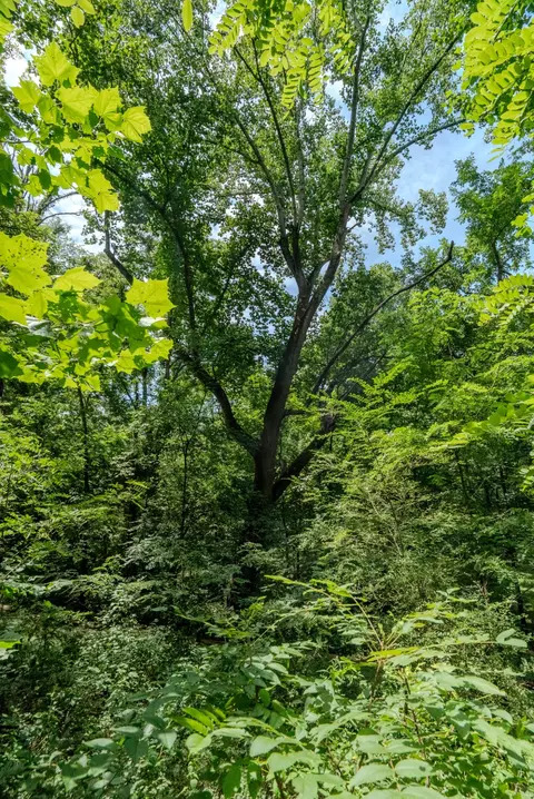0 Bethlehem Rd, Springfield, TN 37172 photo 14