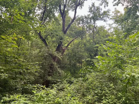 0 Bethlehem Rd, Springfield, TN 37172 photo 40