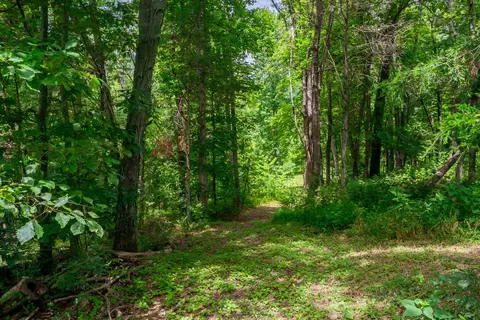 0 Bethlehem Rd, Springfield, TN 37172 photo 11
