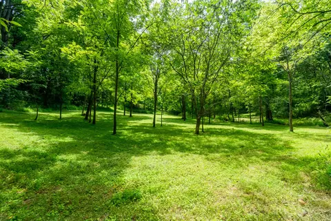 0 Bethlehem Rd, Springfield, TN 37172 photo 7