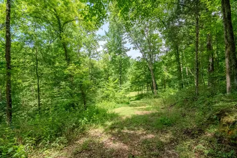 0 Bethlehem Rd, Springfield, TN 37172 photo 12