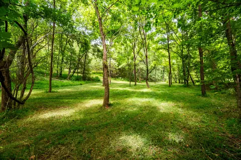 0 Bethlehem Rd, Springfield, TN 37172 photo 3