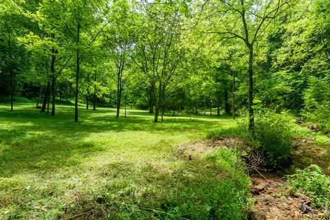 0 Bethlehem Rd, Springfield, TN 37172 photo 9