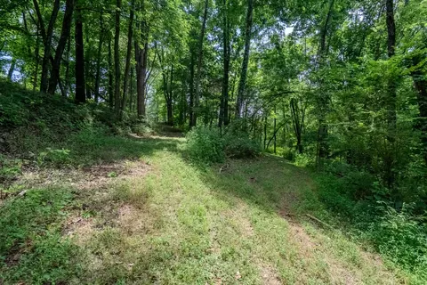 0 Bethlehem Rd, Springfield, TN 37172 photo 13