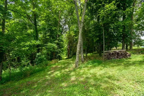 0 Bethlehem Rd, Springfield, TN 37172 photo 10