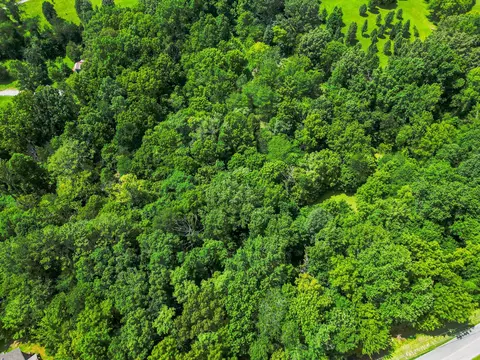 0 Bethlehem Rd, Springfield, TN 37172 photo 34