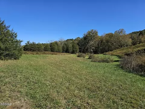35 Shoreline Vis, Sharps Chapel, TN 37866