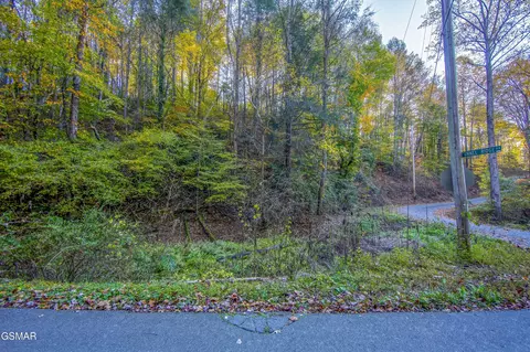 11 Long Hollow Rd, Sevierville, TN 37876