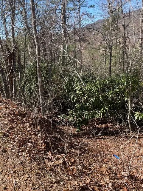 3940 Lucerne Way, Gatlinburg, TN 37738