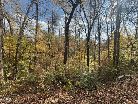 55 Pine Dr, Pigeon Forge, TN 37863