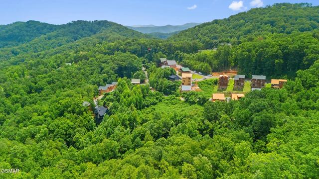 47 Pine Peak Way, Sevierville, TN 37862