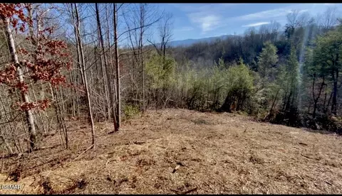 34 Pinnacle Vista Rd, Gatlinburg, TN 37738