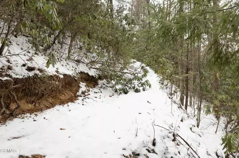 2 Sunshine Trl, Gatlinburg, TN 37738
