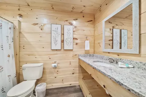 842 String Run Way, Pigeon Forge, TN 37863 photo 28