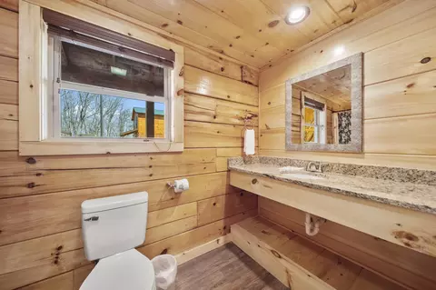 842 String Run Way, Pigeon Forge, TN 37863 photo 16