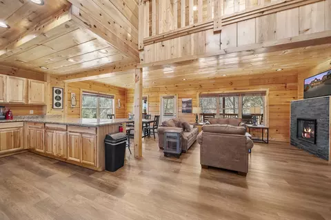 842 String Run Way, Pigeon Forge, TN 37863 photo 12