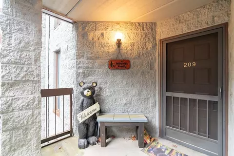 1155 Upper Alpine Way #209, Gatlinburg, TN 37738