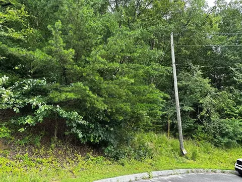 0 Alvins Rdg, Sevierville, TN 37862
