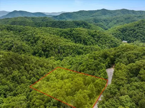 73 Redtail Rd, Sevierville, TN 37862