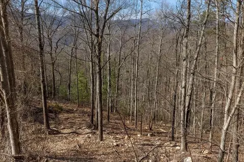 0 Lot 112e Settlers View Ln, Sevierville, TN 37876