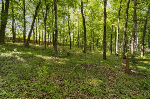 Exterior - 7339 Chowning Rd, Springfield, TN 37172 photo 15 of 16