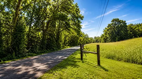 539 Wallace Rd, Gallatin, TN 37066