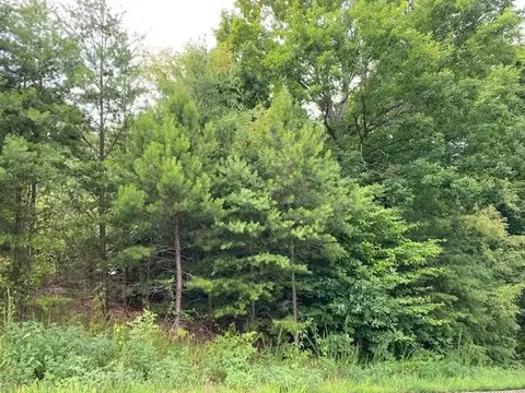 56 Mistletoe Loop, Sevierville, TN 37862 photo 2