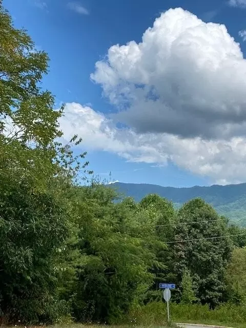 56 Mistletoe Loop, Sevierville, TN 37862