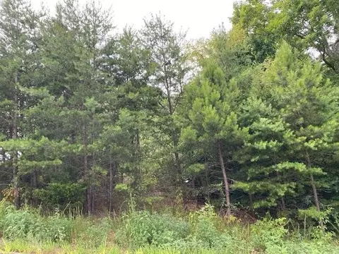 56 Mistletoe Loop, Sevierville, TN 37862 photo 3