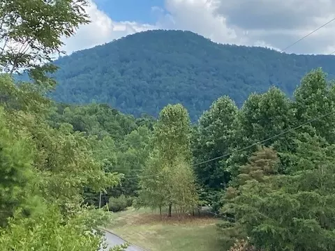 56 Mistletoe Loop, Sevierville, TN 37862 photo 4