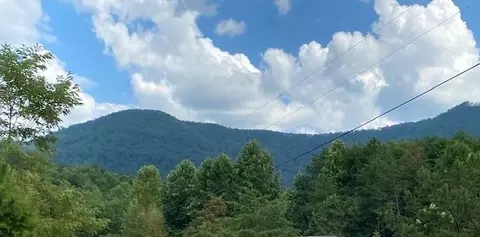 56 Mistletoe Loop, Sevierville, TN 37862 photo 5