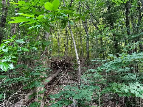 0 Moores Gap Rd, Heiskell, TN 37754 photo 4